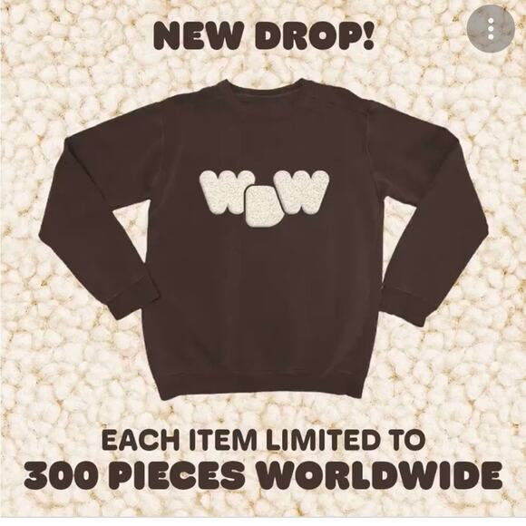 Why Don't We - Limited Edition Crew Neck Sweatshirt in Brown - Picture 4 of 4